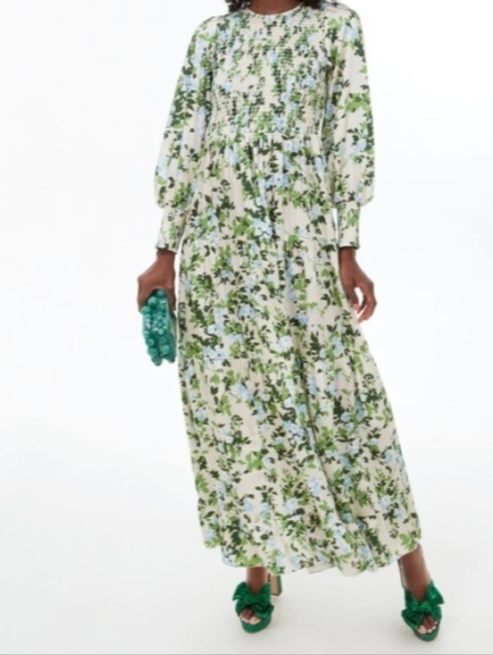 Tuckernuck Dresses & Skirts - Tuckernuck English Ivy Floral Long-Sleeve  Maxi Dress in Cream and Green Size XS